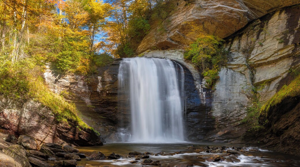 Let's take a short timeout to see some fall color! I drove up to the Blue Ridge Parkway looking for fall color. Unfortunately due to an early snow and a VERY late fall the fall line was about 20 miles wide. Fortunately this waterfall fell within that short strip of fall color.