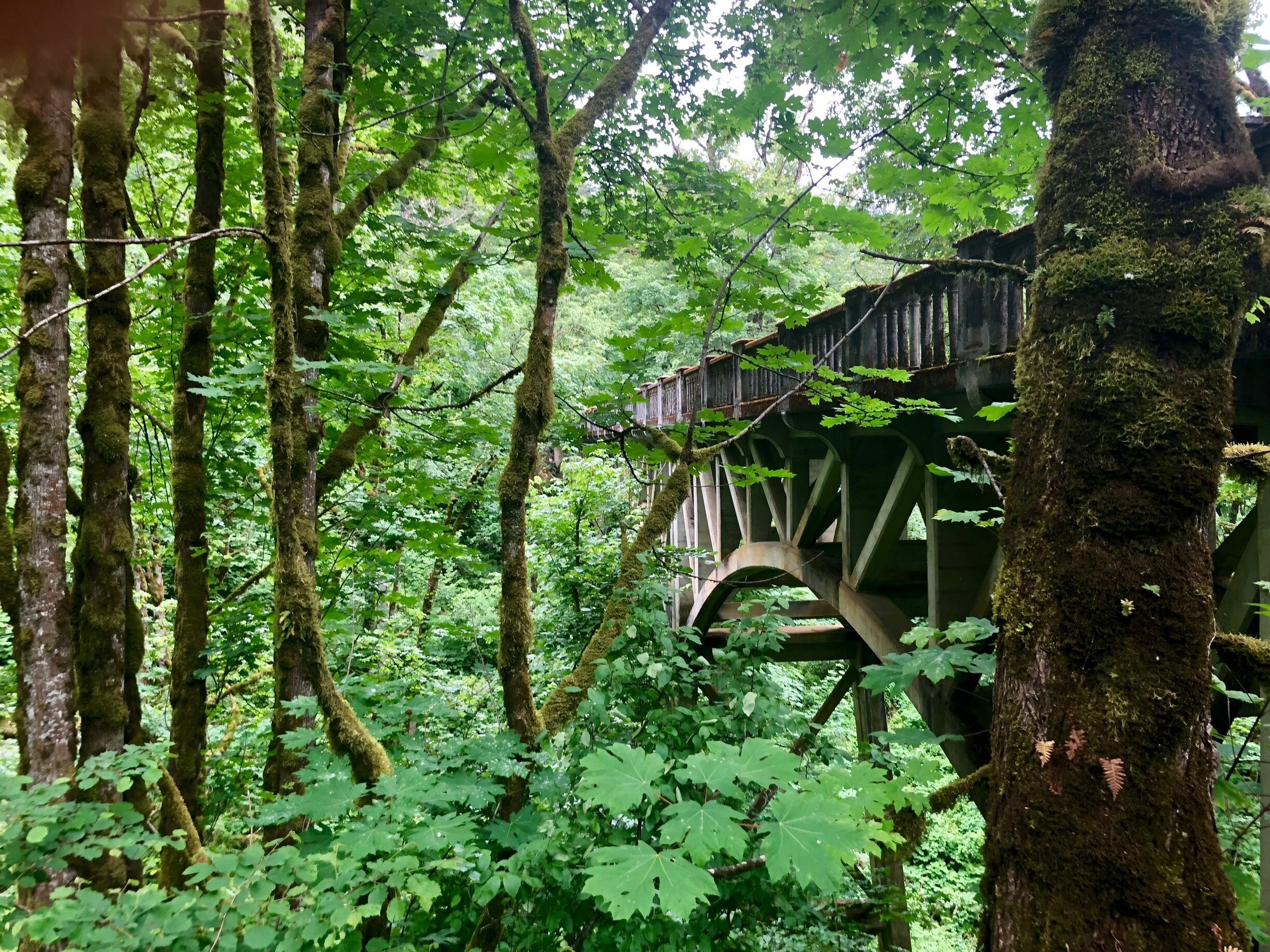 The bridge from below. The scenic route that it is part of was conceived of in 1913 and by 1920 the roadway was considered the King of all Roads.  It is part of the very first scenic byway in America. 