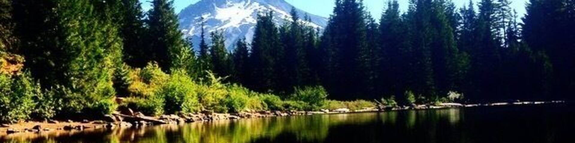 A calm lake with a mountain in the background, surrounded by dense green forest.