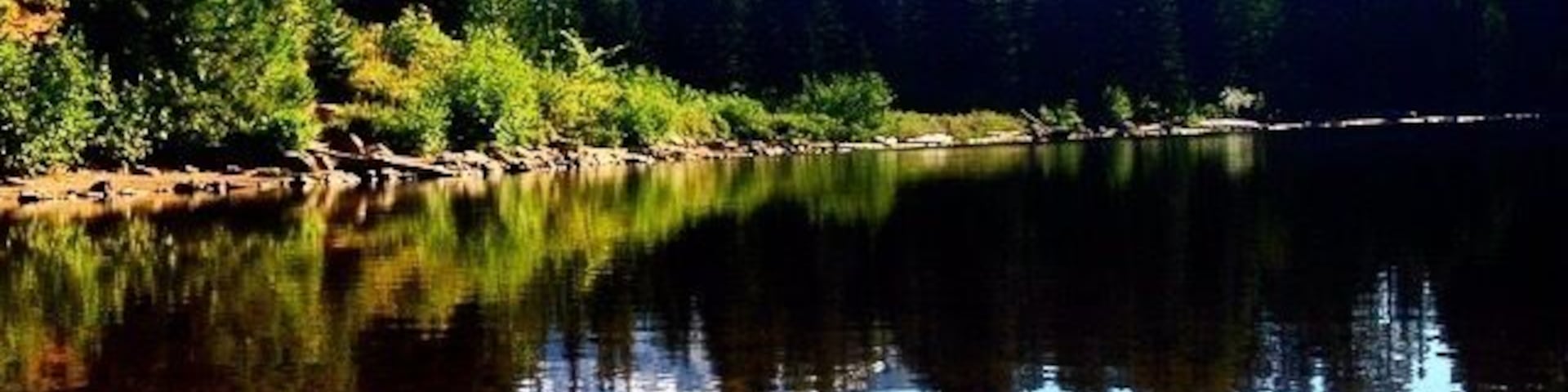 Ein ruhiger See mit einem Berg im Hintergrund, umgeben von dichtem, grünem Wald.