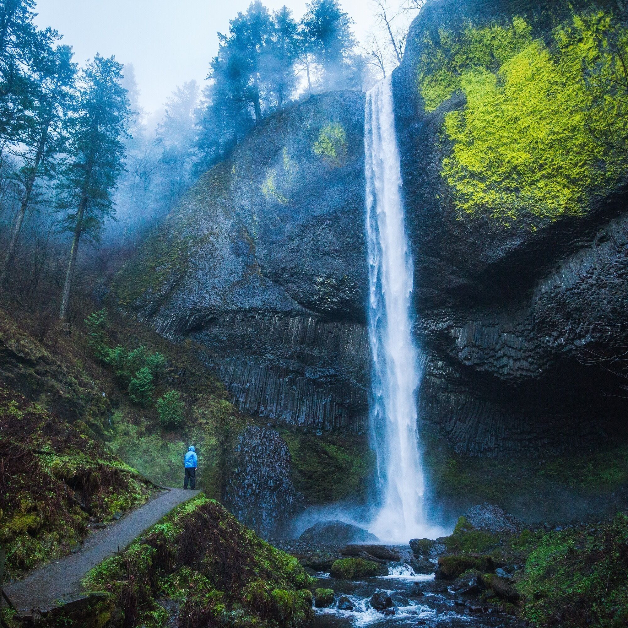 This is one of best waterfalls to see in the Columbia River Gorge in terms of impressiveness for distance hiked. 
It's a gorgeous waterfall that is just 0.1 miles down a well maintained path from the parking lot. 

I usually make this my last waterfall stop of the day and head up to Vista House at Crown Point for sunset. 