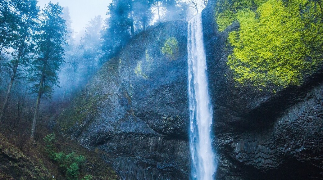 This is one of best waterfalls to see in the Columbia River Gorge in terms of impressiveness for distance hiked.
It's a gorgeous waterfall that is just 0.1 miles down a well maintained path from the parking lot.
I usually make this my last waterfall stop of the day and head up to Vista House at Crown Point for sunset.