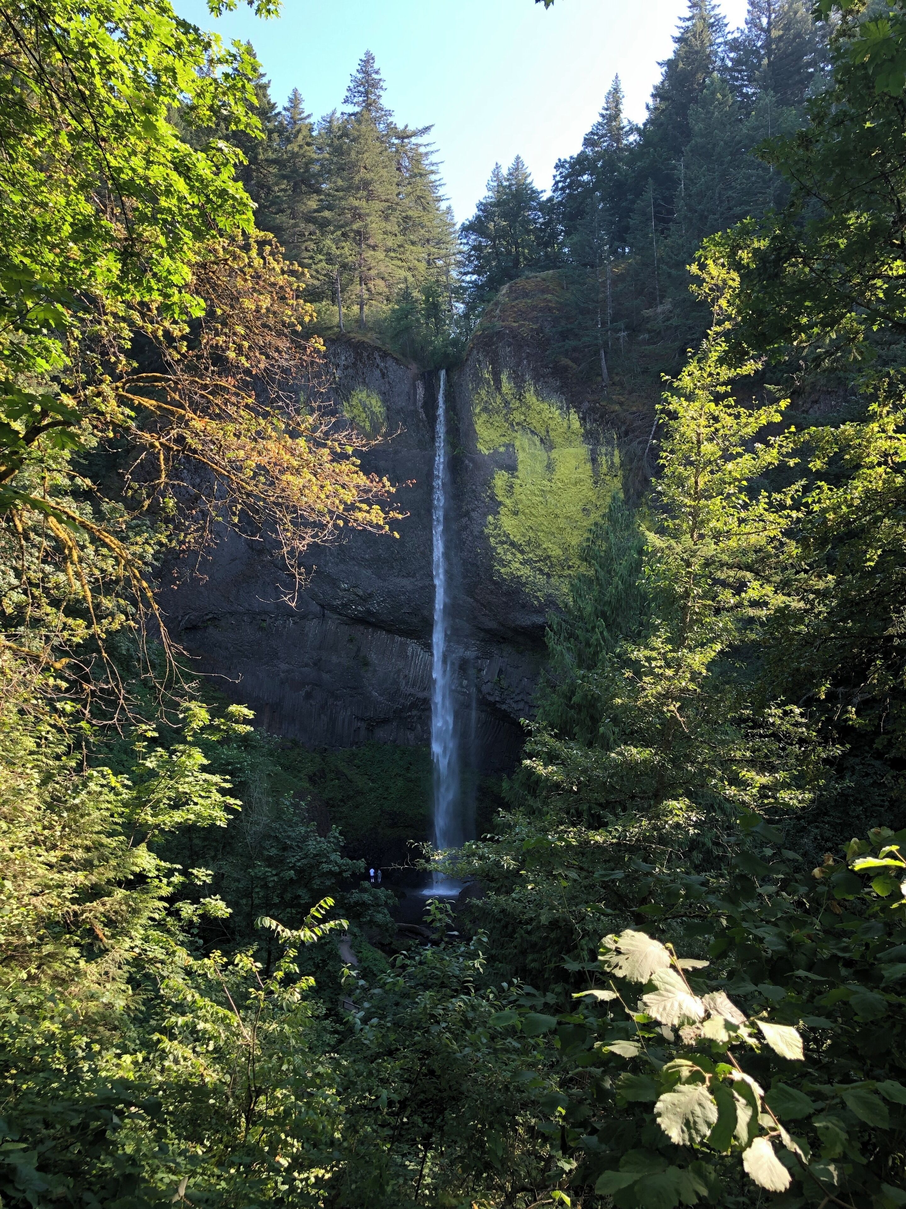 Short uphill path. Beautiful!! #falls #oregon