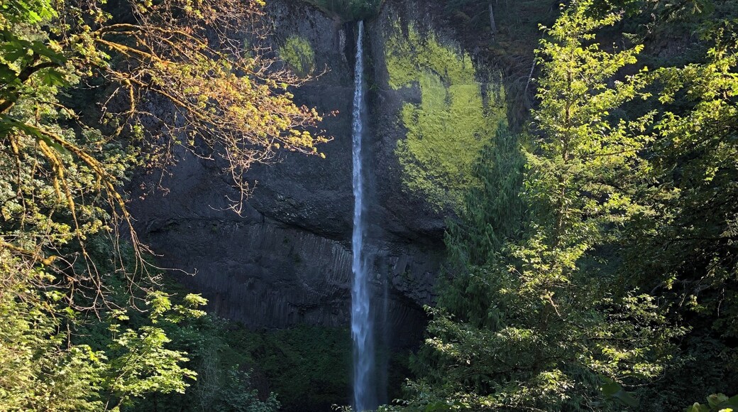 Short uphill path. Beautiful!! #falls #oregon