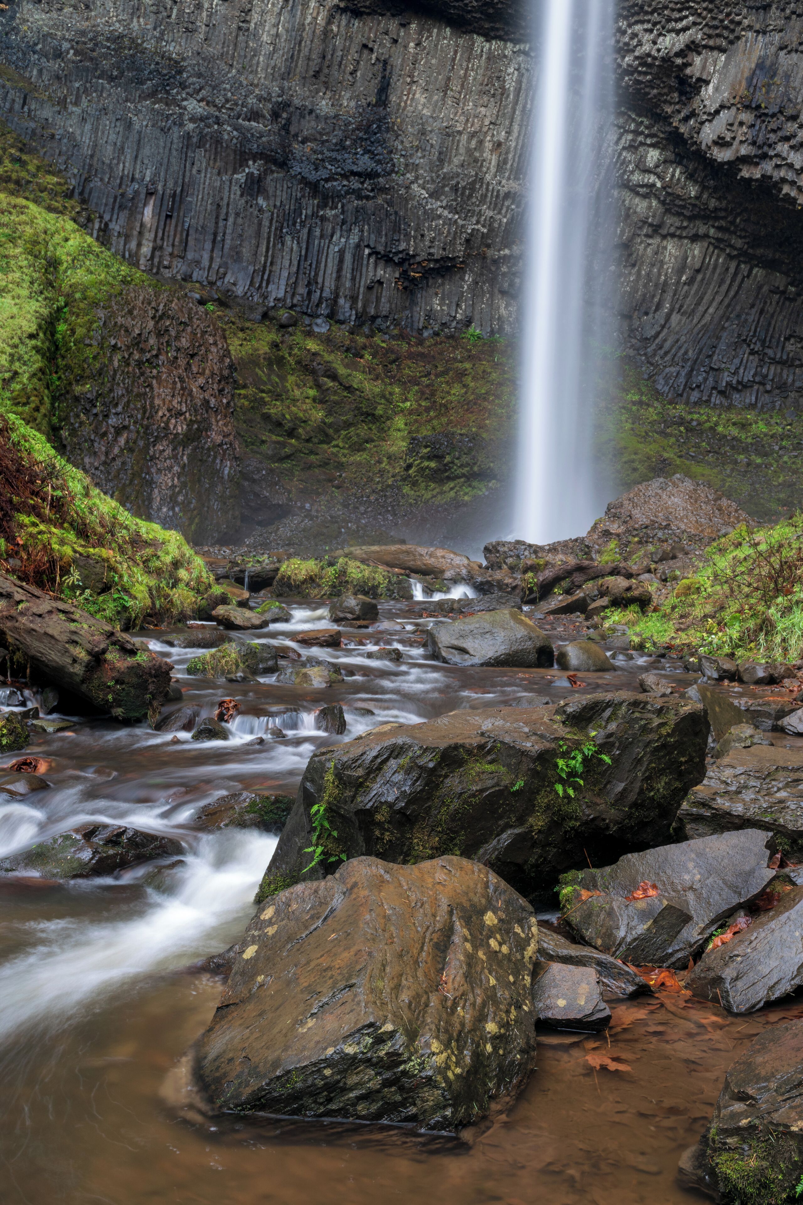 Super easy to get to this waterfall.  It was cold, foggy and rainy.  Which made the color pop. #oregon #waterfalls #latourellfalls 