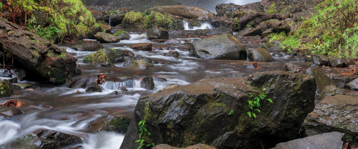 Super easy to get to this waterfall. It was cold, foggy and rainy. Which made the color pop. #oregon #waterfalls #latourellfalls