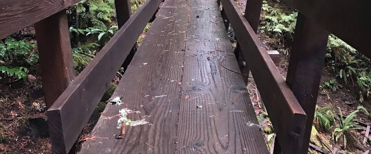 Bridge along the Clackamas River Trail, Oregon
