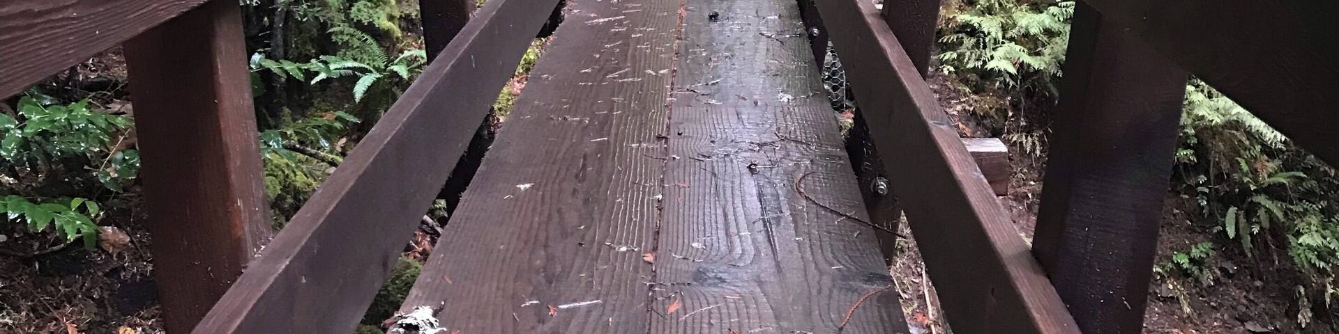 Bridge along the Clackamas River Trail, Oregon