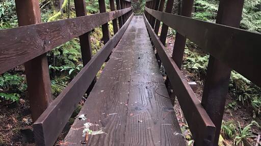Bridge along the Clackamas River Trail, Oregon