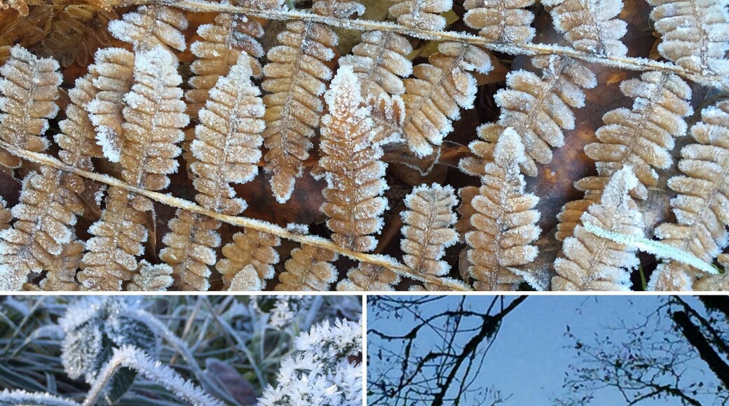 Great park along the Clackamas River. We launch kayaks from here. Beautiful in all seasons.