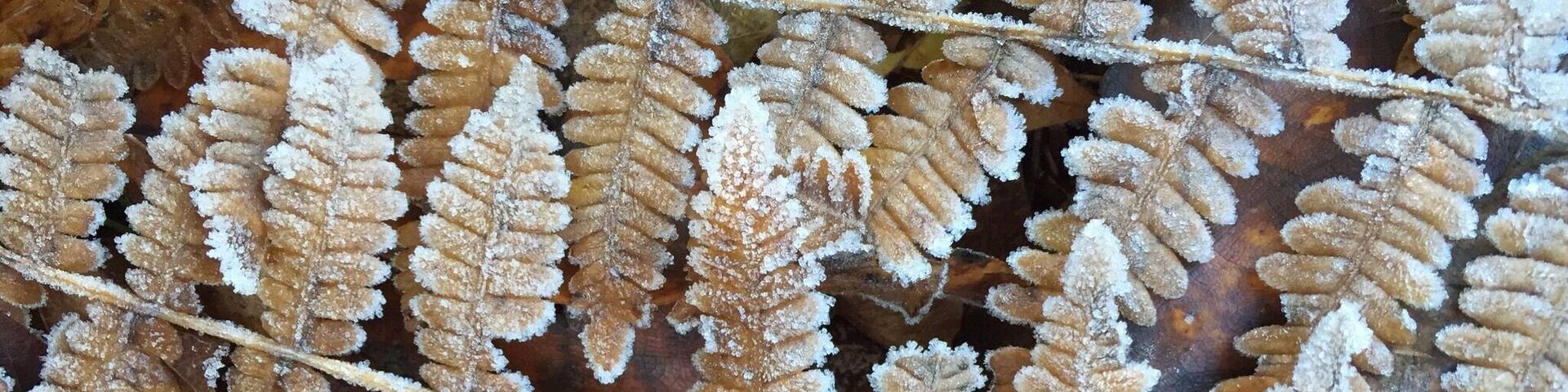 Great park along the Clackamas River. We launch kayaks from here. Beautiful in all seasons.