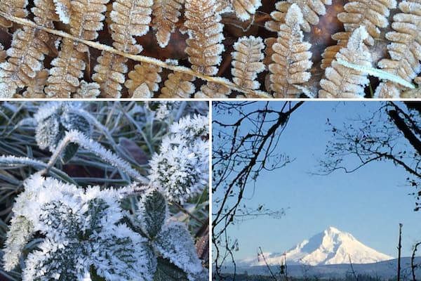 Great park along the Clackamas River. We launch kayaks from here. Beautiful in all seasons.