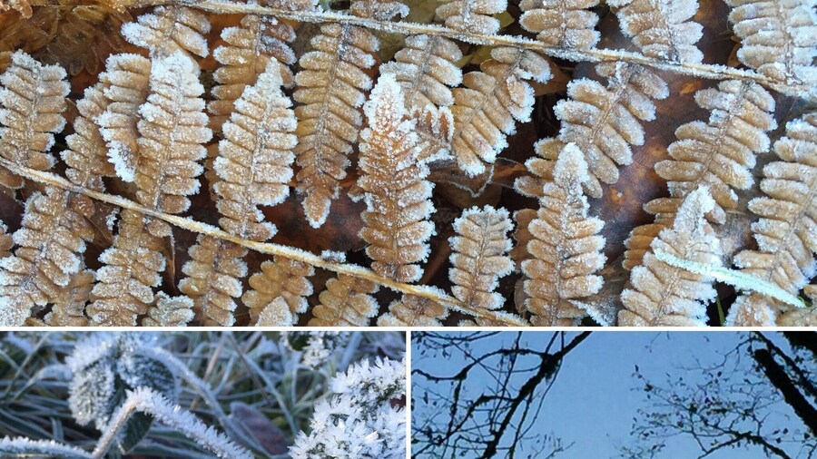 Great park along the Clackamas River. We launch kayaks from here. Beautiful in all seasons.