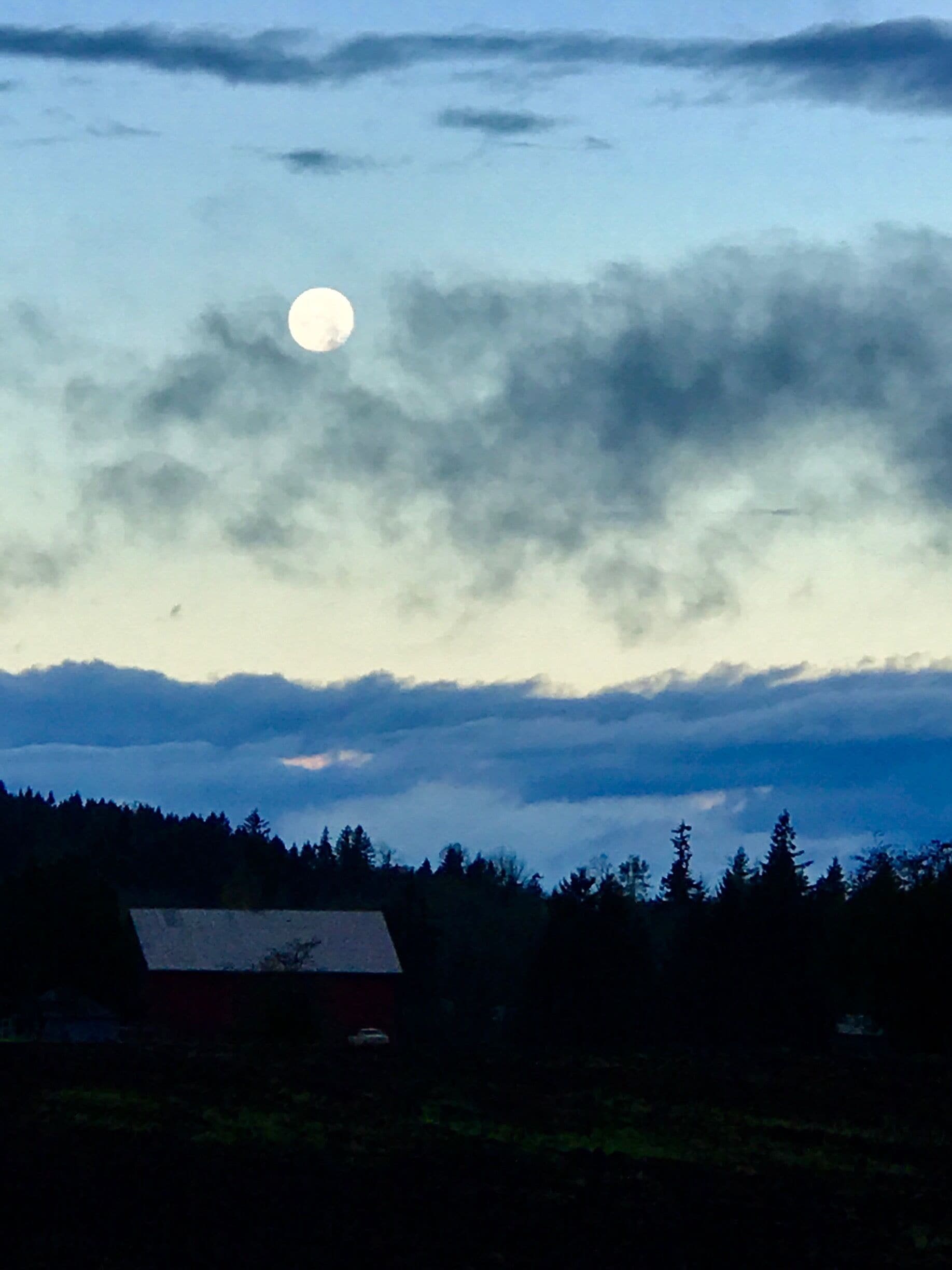 Moon in morning 🌙