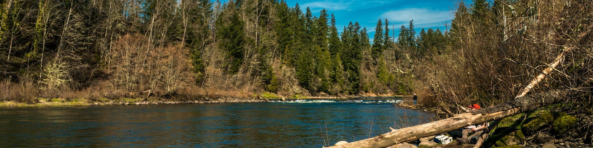 Milo McIver State Park in Clackamas County, Oregon
