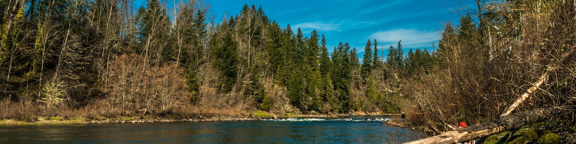 Milo McIver State Park in Clackamas County, Oregon