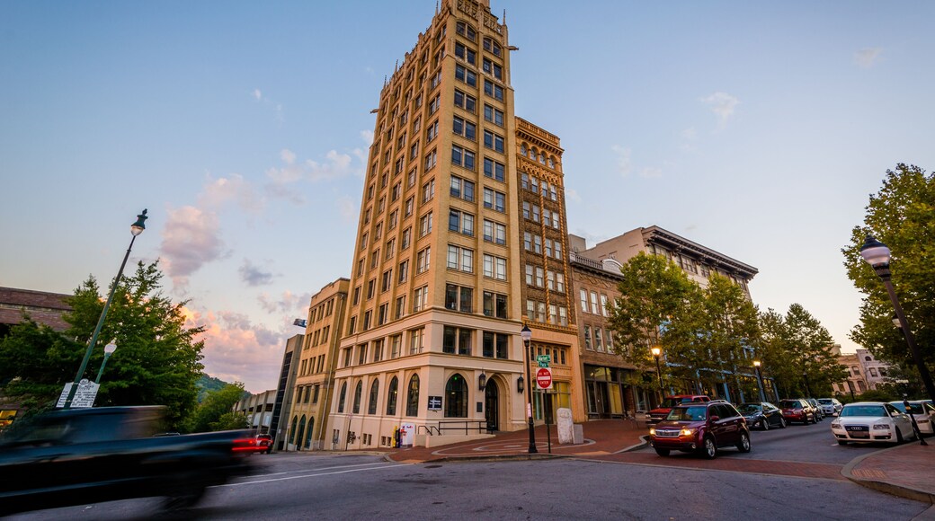 Historic building at Pack Square, in Asheville, North Carolina.