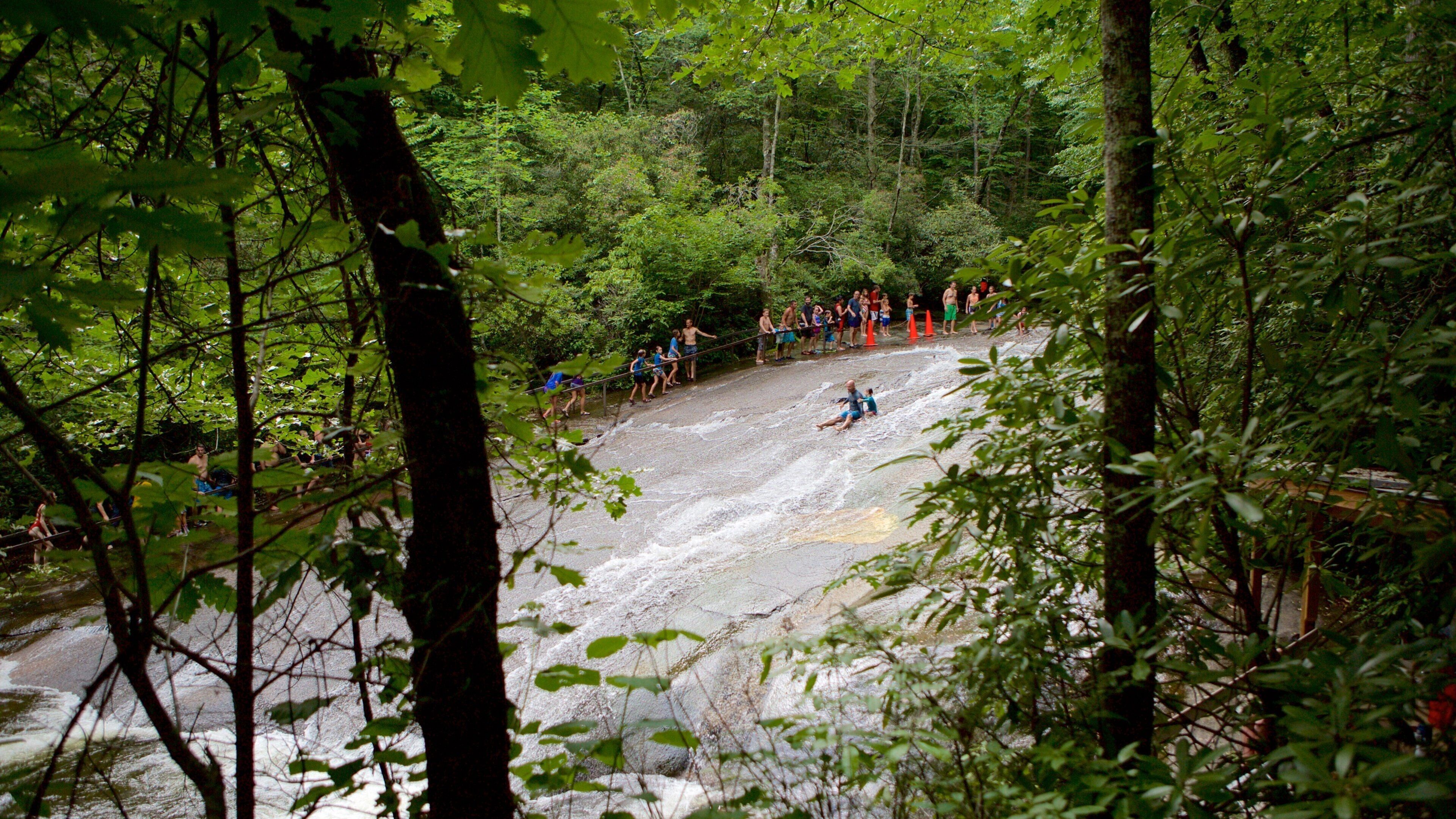 Sliding Rock showing a river or creek and forest scenes as well as a large group of people