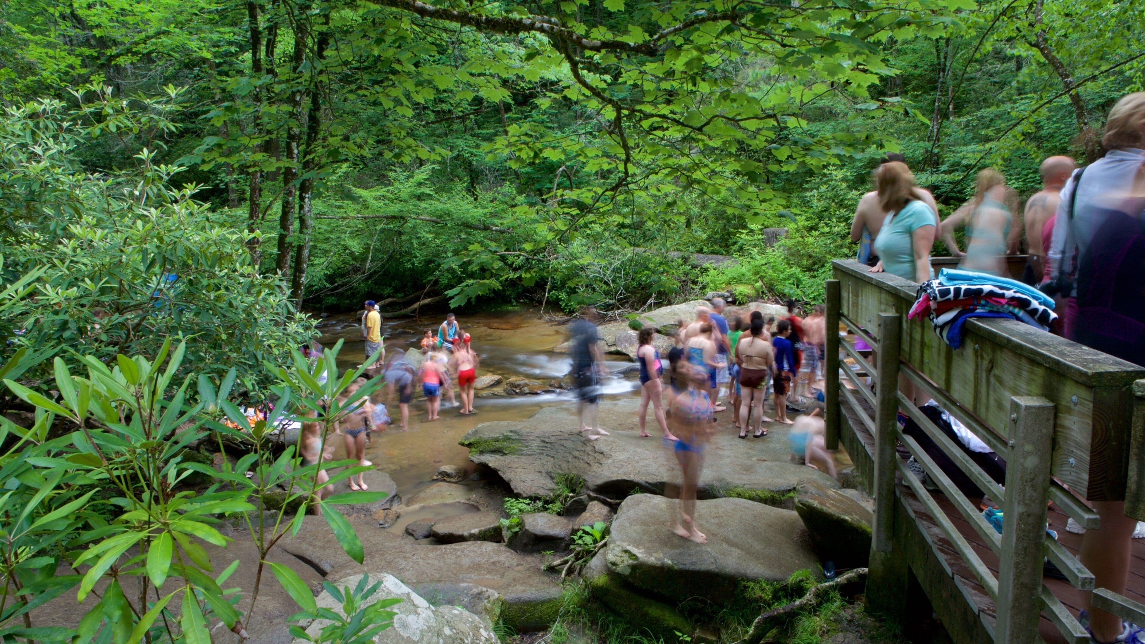 Sliding Rock featuring a river or creek and forests as well as a large group of people