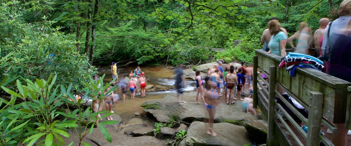 Sliding Rock featuring a river or creek and forest scenes as well as a large group of people