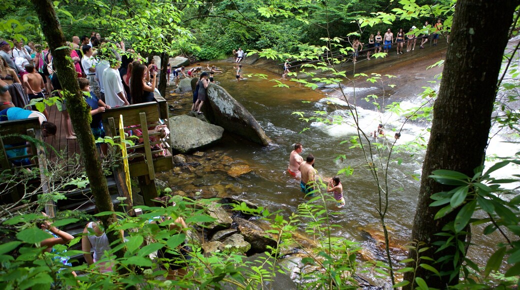 Sliding Rock which includes a river or creek and forests as well as a large group of people