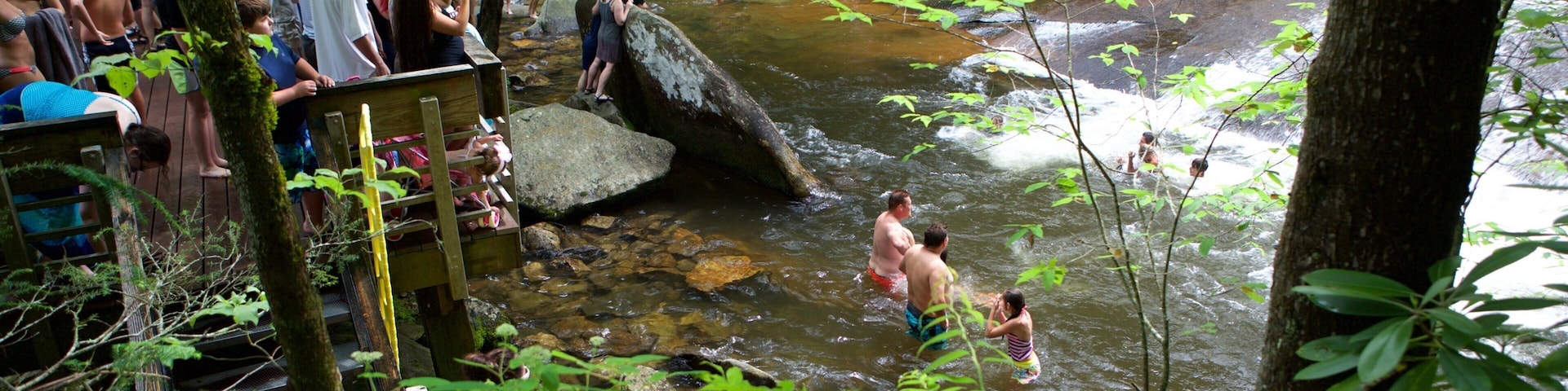 Sliding Rock showing forest scenes and a river or creek as well as a large group of people
