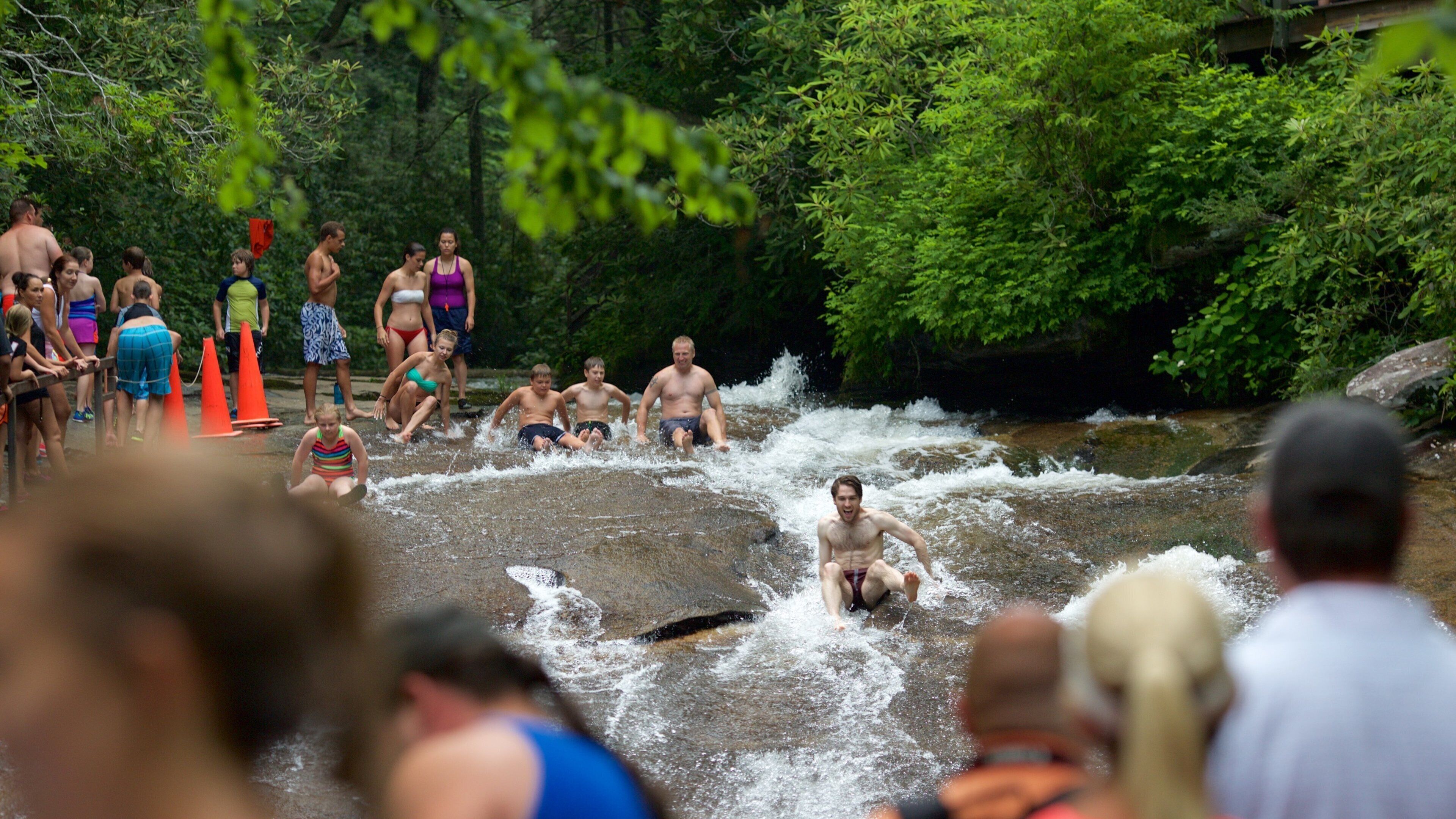 Sliding Rock que incluye escenas forestales y un río o arroyo y también un gran grupo de personas