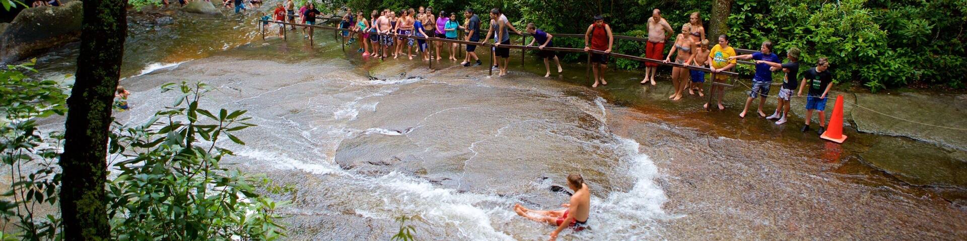 A group of people crossing a shallow river in a forested area.