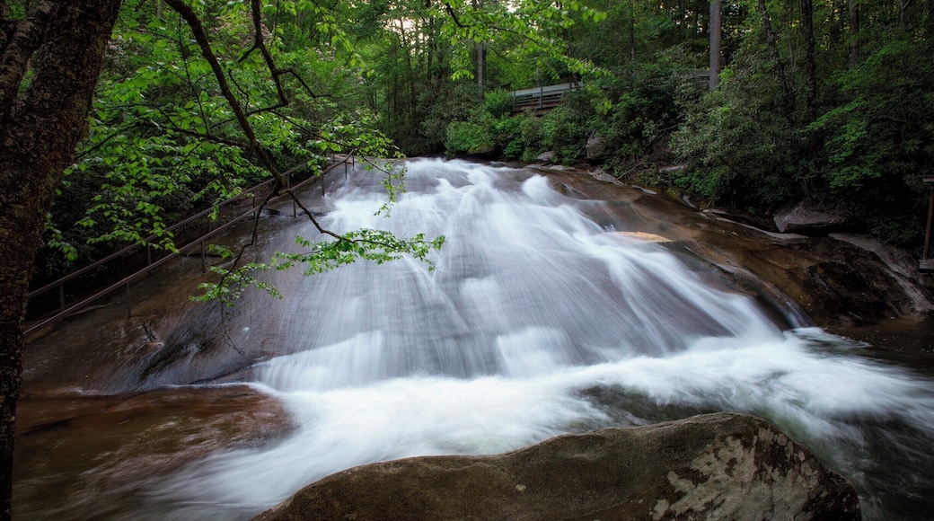 This is such a cool place. It is a swimming hole. you can slide down the entire waterfall and swim in the pool at the bottom. on the left is the path to get back to the top.