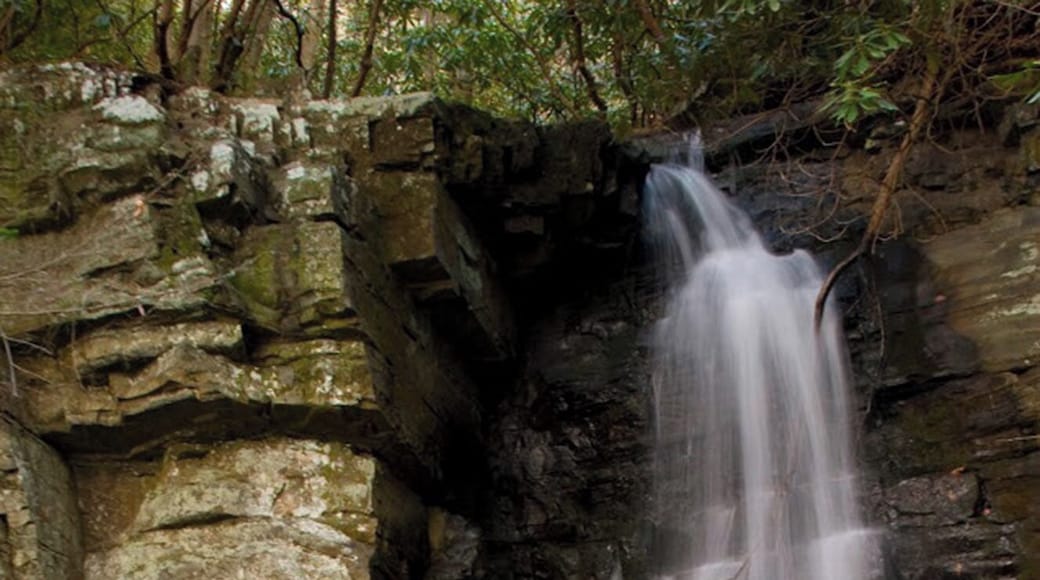 On the Roaring Fork Motor Nature Trail in the Great Smoky Mountains NP. Follow the Motor Nature trail to a small lot just before the Alex Cole cabin. This is where the road passes over Baskins Creek. This trail is known as both the Baskins Creek Trail and the Graveyard Ridge Trail. The graveyard is only a few hundred yards from the parking area. The falls on the other hand is about 1.6 miles on a moderate trail. Be careful!! The last time I hiked it there was NO sign marking where to turn left and cross the stream to get to the falls. You can also continue on the Baskins Creek Trail past the turnoff to the falls and wind up back at the Motor Nature trail, near the Rainbow Falls parking area. This entire route is about 2 1/2 miles, but note that the portion past the falls turnoff going to Rainbow Falls is more strenuous than the first part. ALSO: note that this is a one-way road and you will need someone to drive your car back around the Nature Trail to meet you back at the Rainbow Falls parking area.