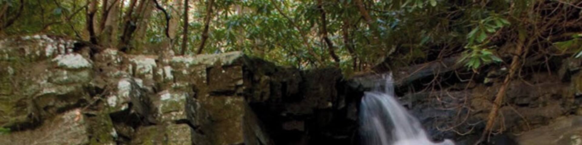 On the Roaring Fork Motor Nature Trail in the Great Smoky Mountains NP. Follow the Motor Nature trail to a small lot just before the Alex Cole cabin. This is where the road passes over Baskins Creek. This trail is known as both the Baskins Creek Trail and the Graveyard Ridge Trail. The graveyard is only a few hundred yards from the parking area. The falls on the other hand is about 1.6 miles on a moderate trail. Be careful!! The last time I hiked it there was NO sign marking where to turn left and cross the stream to get to the falls. You can also continue on the Baskins Creek Trail past the turnoff to the falls and wind up back at the Motor Nature trail, near the Rainbow Falls parking area. This entire route is about 2 1/2 miles, but note that the portion past the falls turnoff going to Rainbow Falls is more strenuous than the first part. ALSO: note that this is a one-way road and you will need someone to drive your car back around the Nature Trail to meet you back at the Rainbow Falls parking area.
