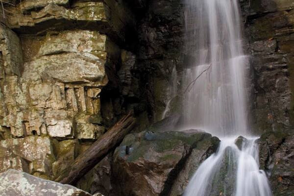 On the Roaring Fork Motor Nature Trail in the Great Smoky Mountains NP. Follow the Motor Nature trail to a small lot just before the Alex Cole cabin. This is where the road passes over Baskins Creek. This trail is known as both the Baskins Creek Trail and the Graveyard Ridge Trail. The graveyard is only a few hundred yards from the parking area. The falls on the other hand is about 1.6 miles on a moderate trail. Be careful!! The last time I hiked it there was NO sign marking where to turn left and cross the stream to get to the falls. You can also continue on the Baskins Creek Trail past the turnoff to the falls and wind up back at the Motor Nature trail, near the Rainbow Falls parking area. This entire route is about 2 1/2 miles, but note that the portion past the falls turnoff going to Rainbow Falls is more strenuous than the first part. ALSO: note that this is a one-way road and you will need someone to drive your car back around the Nature Trail to meet you back at the Rainbow Falls parking area.