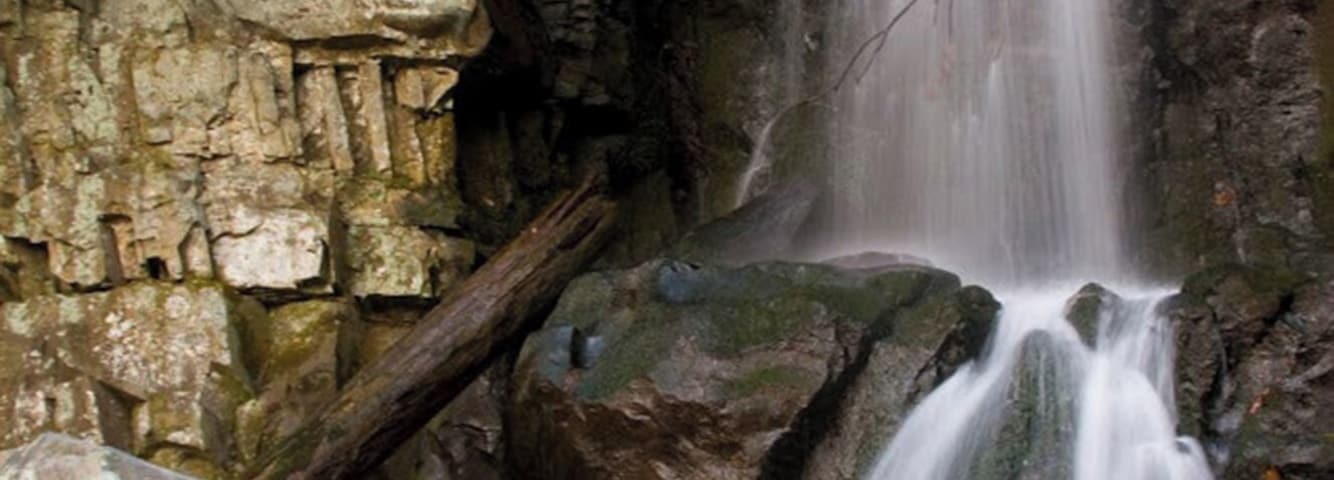 On the Roaring Fork Motor Nature Trail in the Great Smoky Mountains NP. Follow the Motor Nature trail to a small lot just before the Alex Cole cabin. This is where the road passes over Baskins Creek. This trail is known as both the Baskins Creek Trail and the Graveyard Ridge Trail. The graveyard is only a few hundred yards from the parking area. The falls on the other hand is about 1.6 miles on a moderate trail. Be careful!! The last time I hiked it there was NO sign marking where to turn left and cross the stream to get to the falls. You can also continue on the Baskins Creek Trail past the turnoff to the falls and wind up back at the Motor Nature trail, near the Rainbow Falls parking area. This entire route is about 2 1/2 miles, but note that the portion past the falls turnoff going to Rainbow Falls is more strenuous than the first part. ALSO: note that this is a one-way road and you will need someone to drive your car back around the Nature Trail to meet you back at the Rainbow Falls parking area.