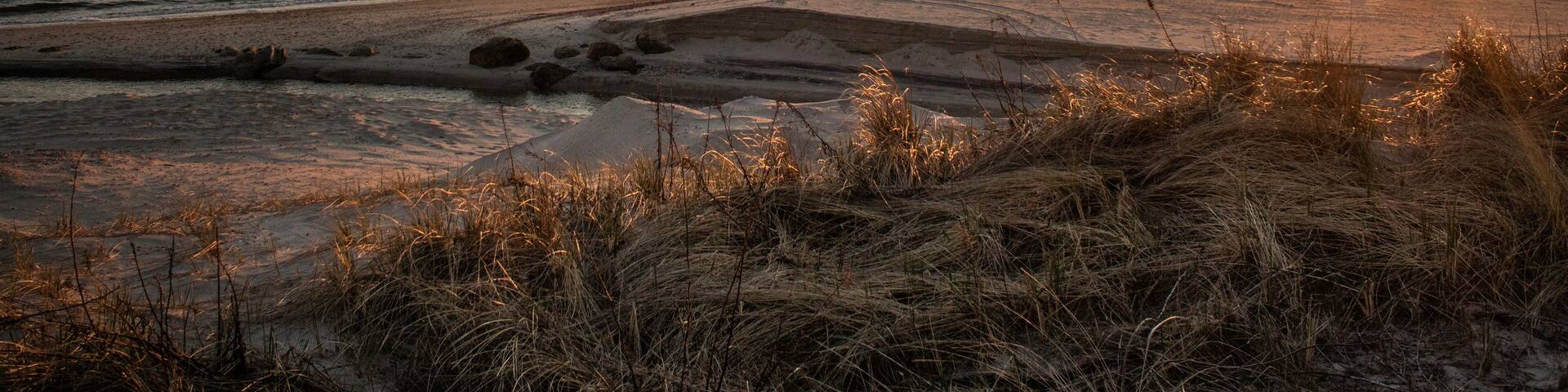 A beach at sunset with the sun low on the horizon, calm water, and grassy dunes.