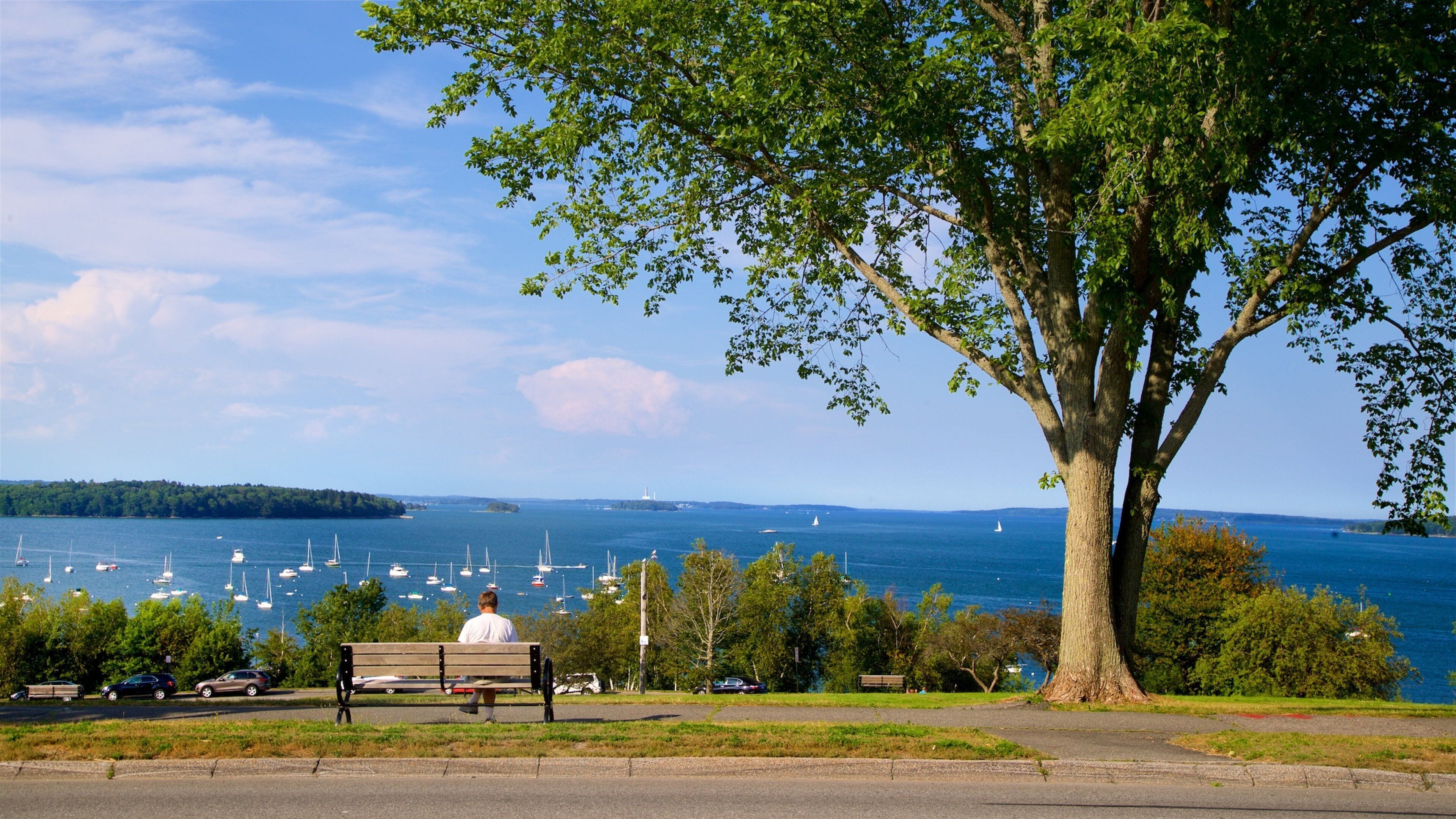 Eastern Promenade som inkluderer park og kyst i tillegg til en mann