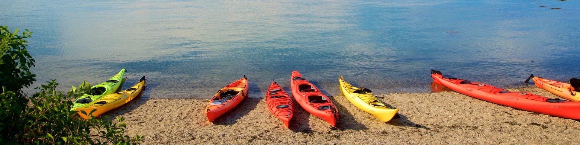 Eastern Promenade which includes general coastal views and a sandy beach