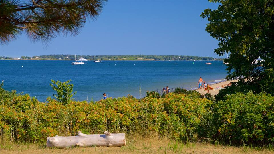 A coastal landscape with a beach, boats on the water, and a forested area.