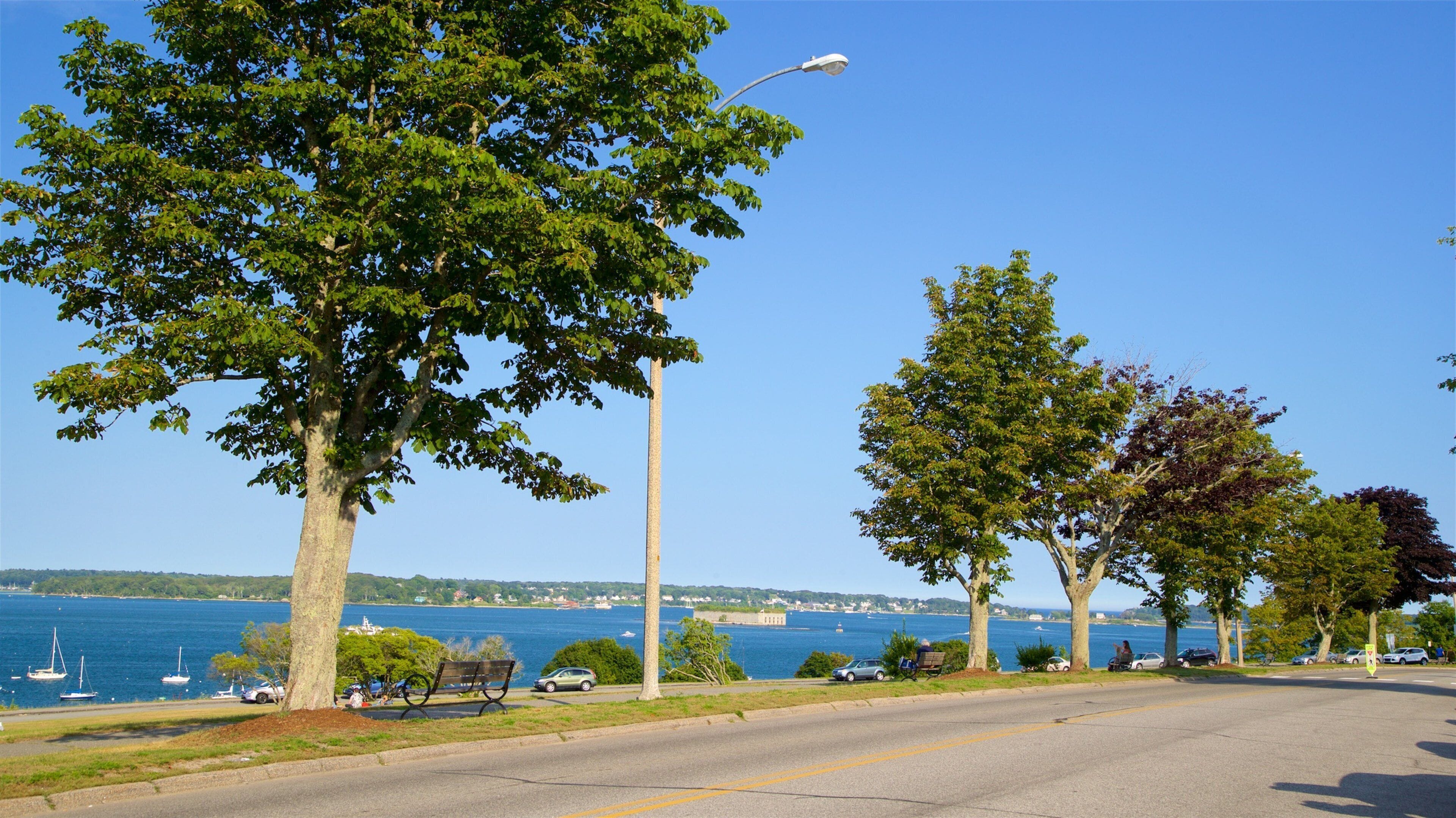 A coastal road with trees, a bench, and sailboats on the water.