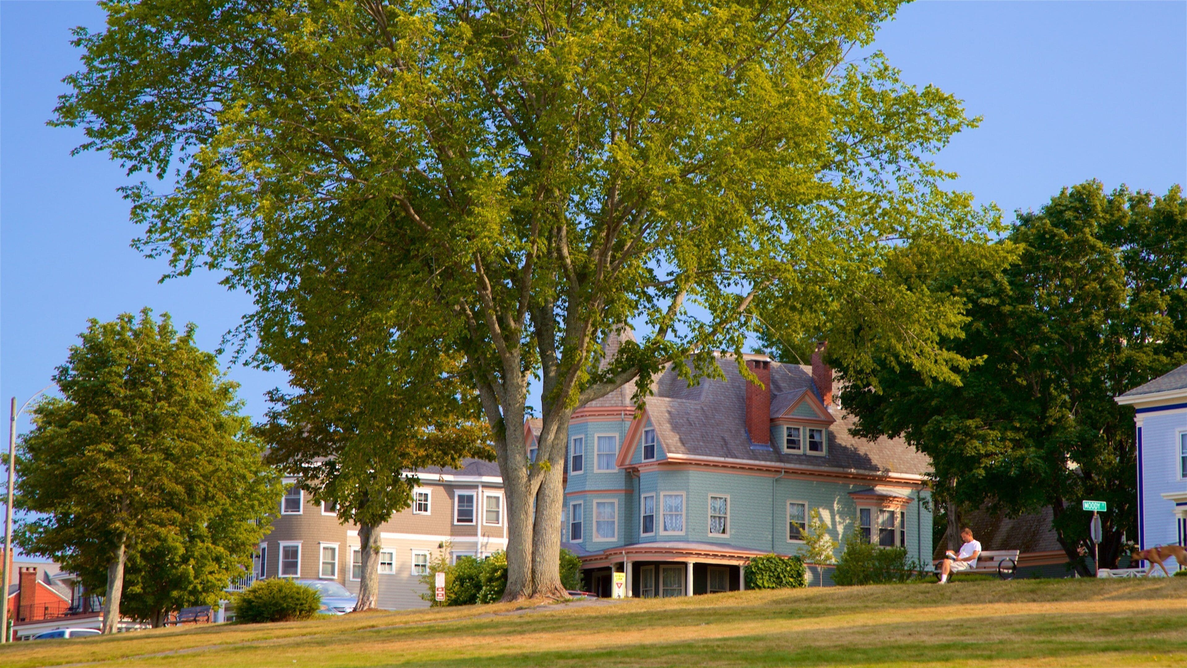 Eastern Promenade showing a small town or village, a park and a house