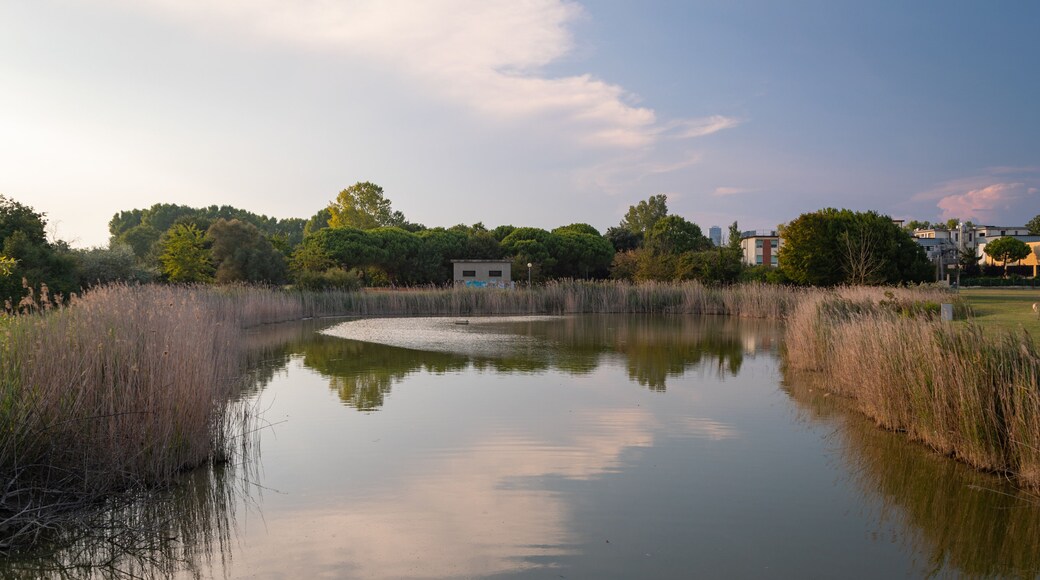 Levante Park showing a sunset and a pond