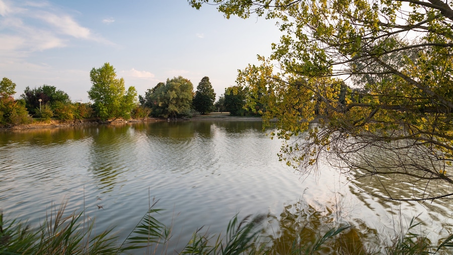 Cesenatico featuring a river or creek