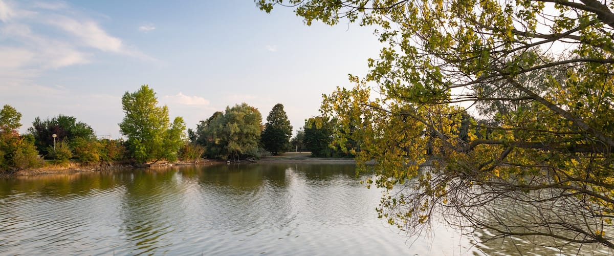 A calm lake surrounded by trees and vegetation.