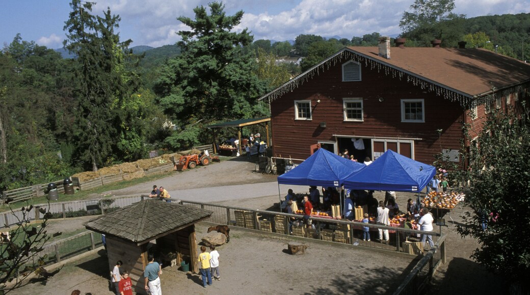 Western North Carolina Nature Center