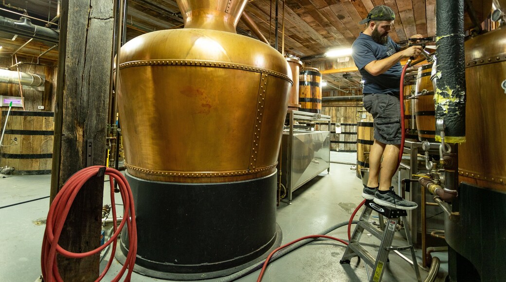 Ole Smoky Moonshine Distillery featuring interior views as well as an individual male