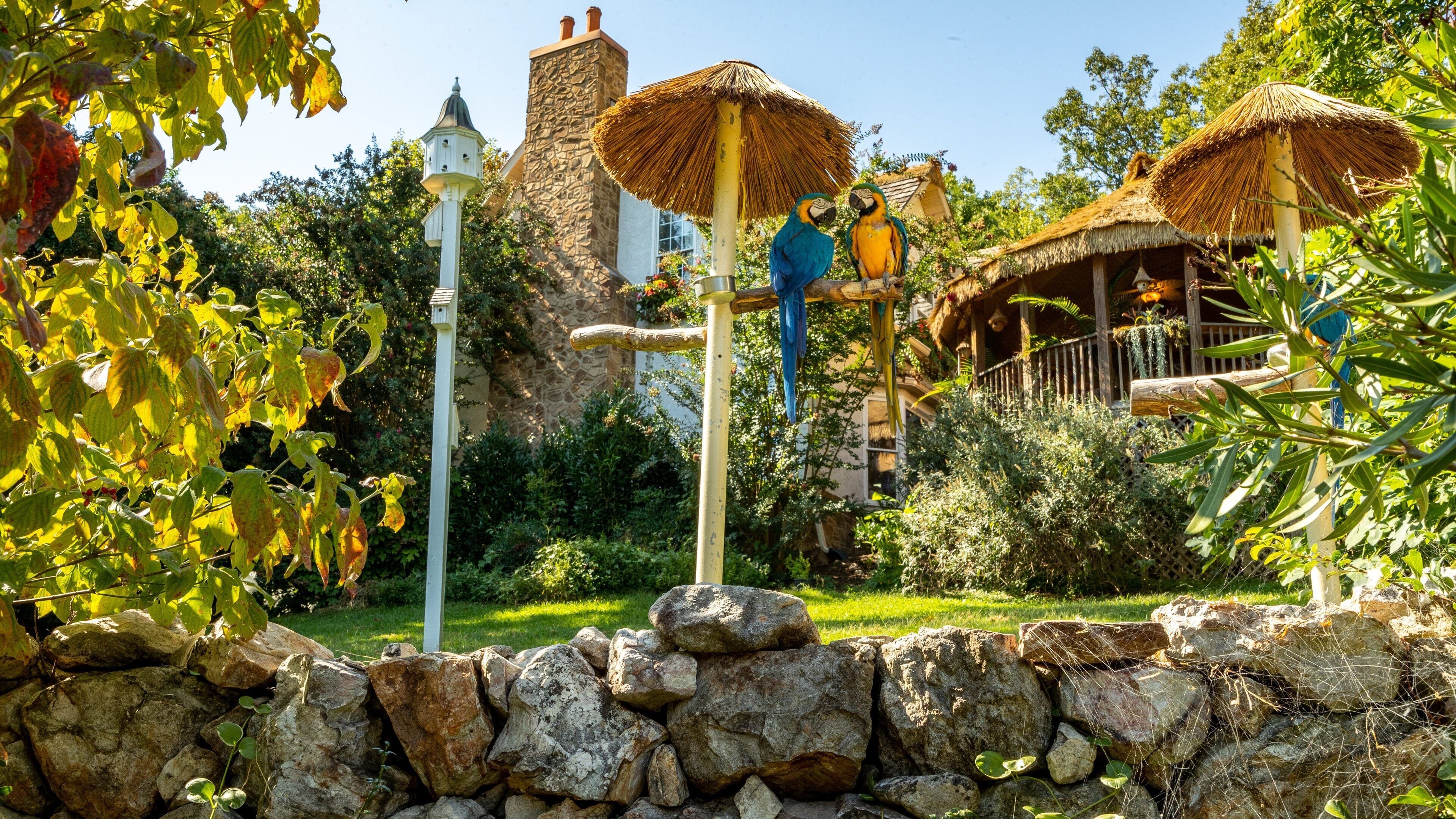 Parrot Mountain and Gardens