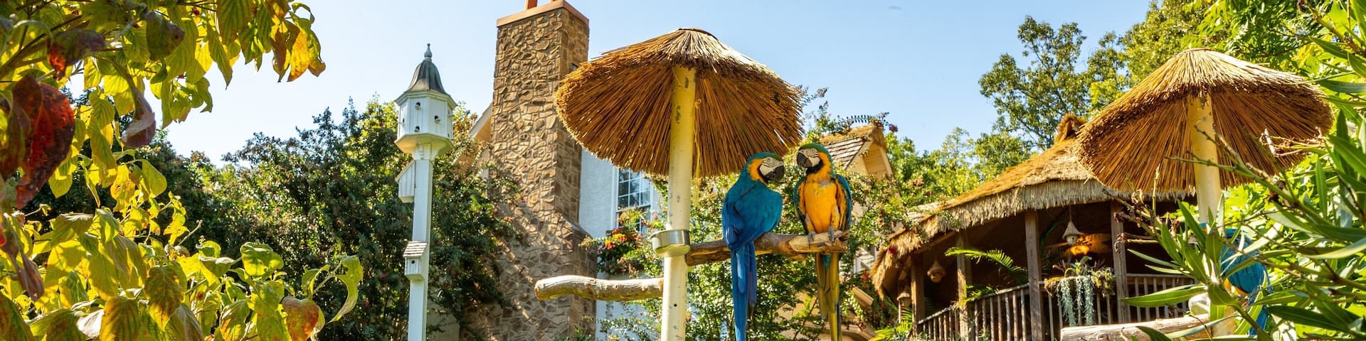 Parrot Mountain and Gardens