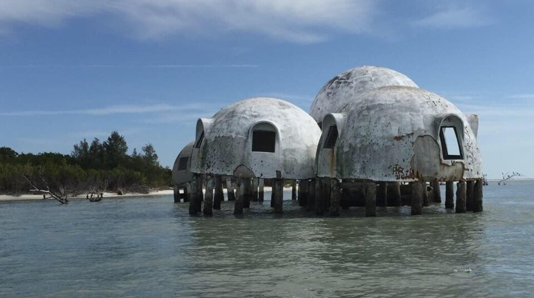 I wish I could save these, so amazing and such an interesting history of the domes.