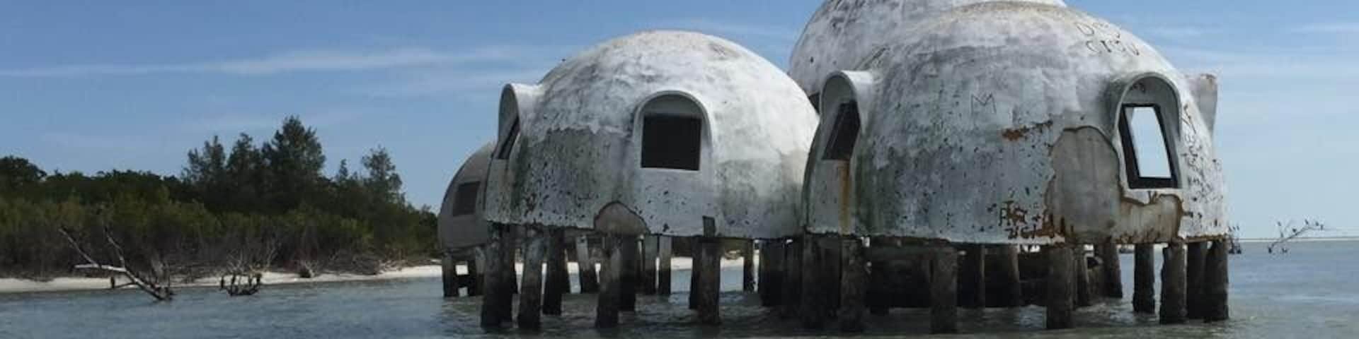 I wish I could save these, so amazing and such an interesting history of the domes.