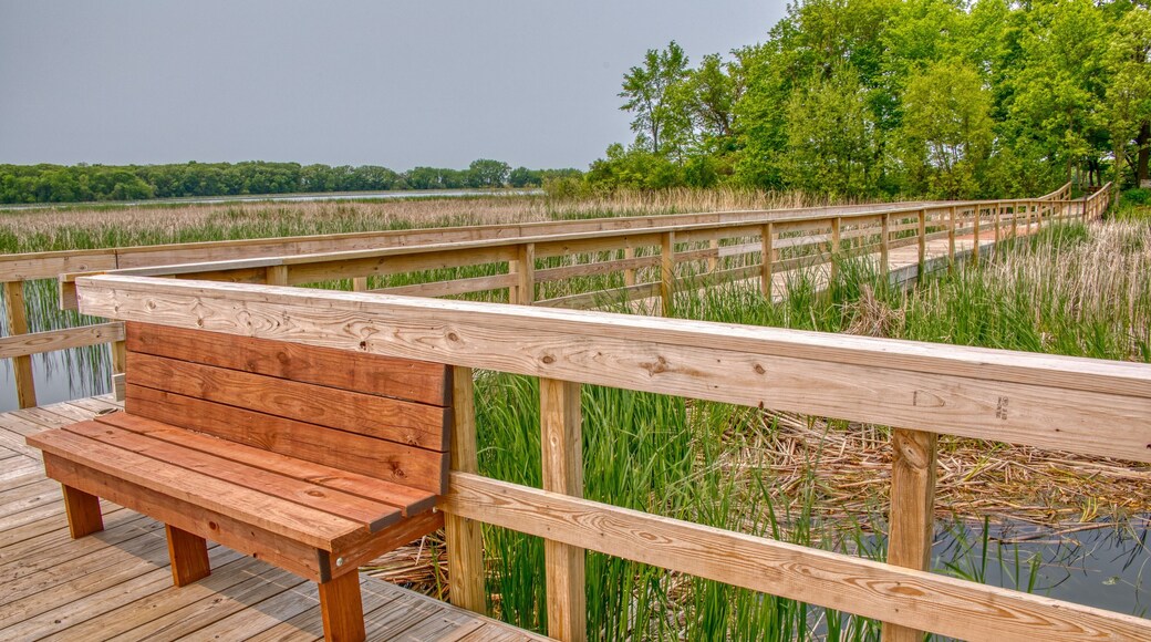 Rice Lake State Park is located in East Central Minnesota