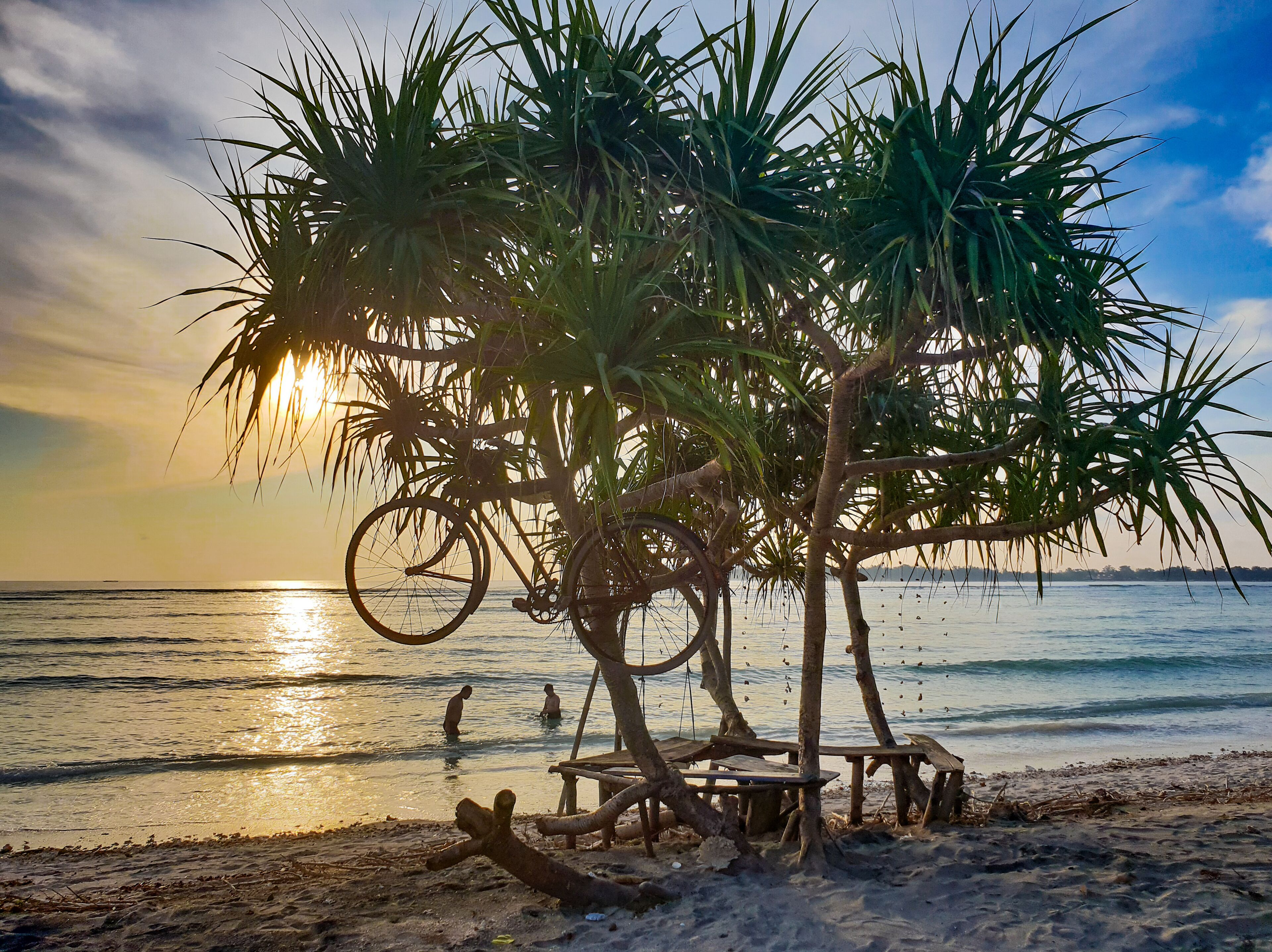 A beach with palm trees, a bicycle, and a sunset over the ocean.
